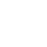 selfiiz